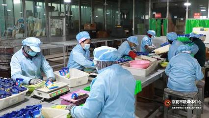 春節將至訂單增 臨夏市鄉村就業工廠奮力沖刺“開門紅”